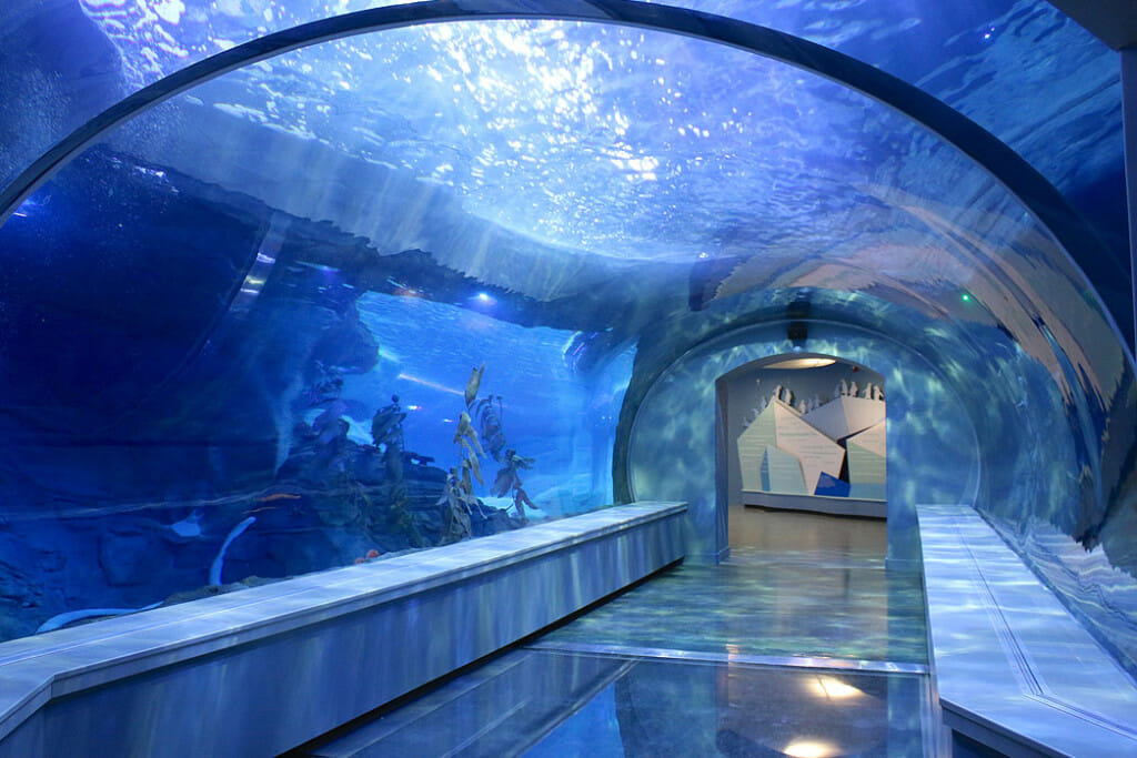 Tunnel - Polk Penguin Conservation Center